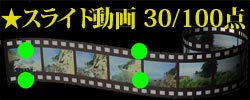 スライド動画30